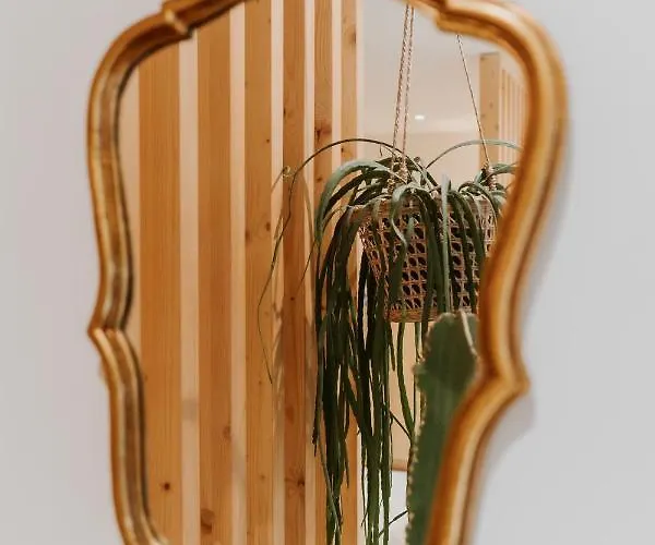 Palm Boutique Szálloda 3*