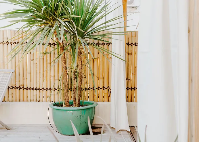 Palm Boutique
