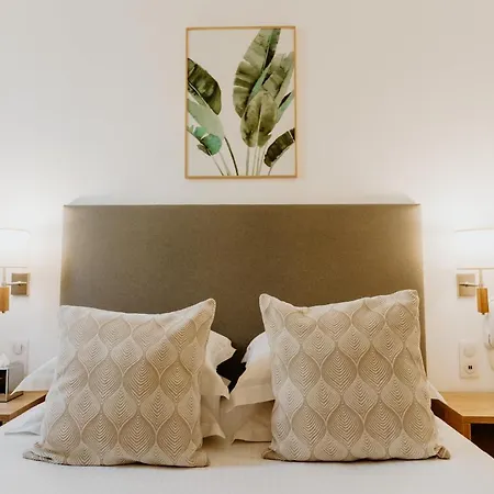 Palm Boutique Hotell Nice