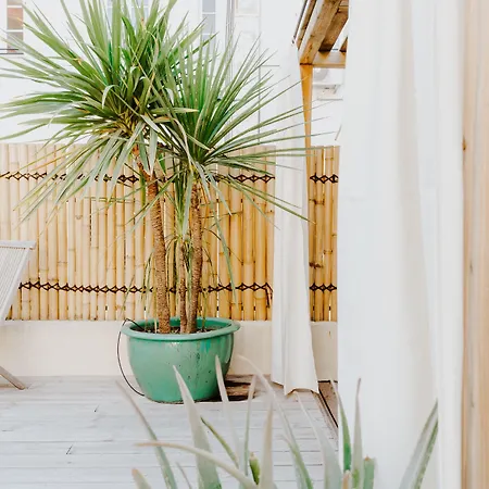 Palm Boutique