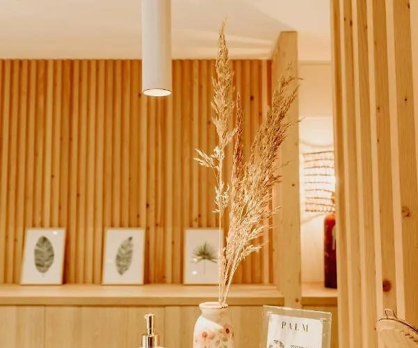 Palm Boutique Nice