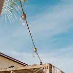Hotel Palm Boutique