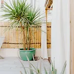 Palm Boutique