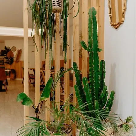 Szálloda Palm Boutique