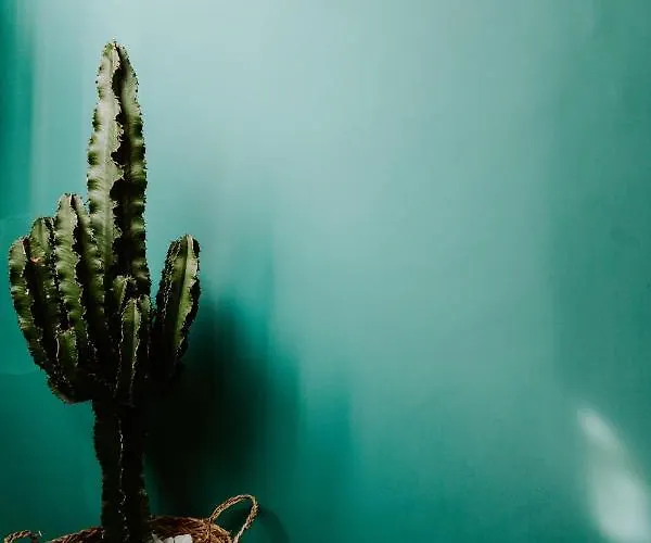 Palm Boutique Hotel Nizza