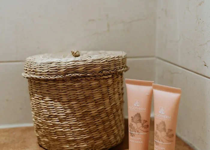 Hotel Palm Boutique 3*