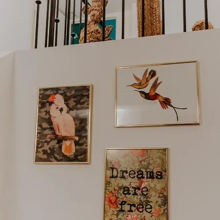 Hotel Palm Boutique Nice