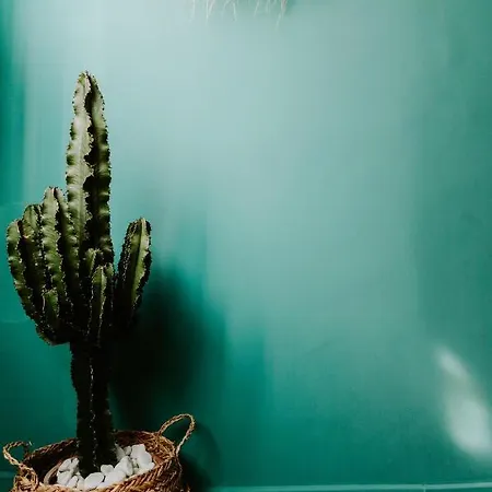 Palm Boutique Hotel Nice