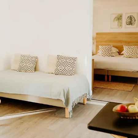 Palm Boutique Nicea